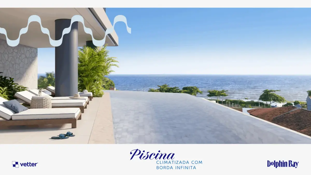 Dolphin Bay, Praia de Armação do Itapocorói beach, Penha